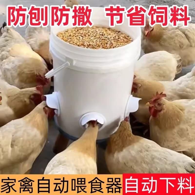 Chicken Automatic Feeder Anti-Rat Special Lazy Feeding Tool Auto Feeder Anti-Scatter Chicken Trough