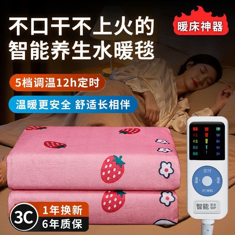Water-Filled Electric Heating Blanket Large Single/Double Dual-Control Safe Smart Dormitory Non-Radiation Household Fast Heating Constant Temperature