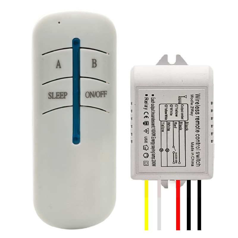 Smart Two-Channel Wireless Remote Control Switch for 220V Lighting, Dual-Control Remote