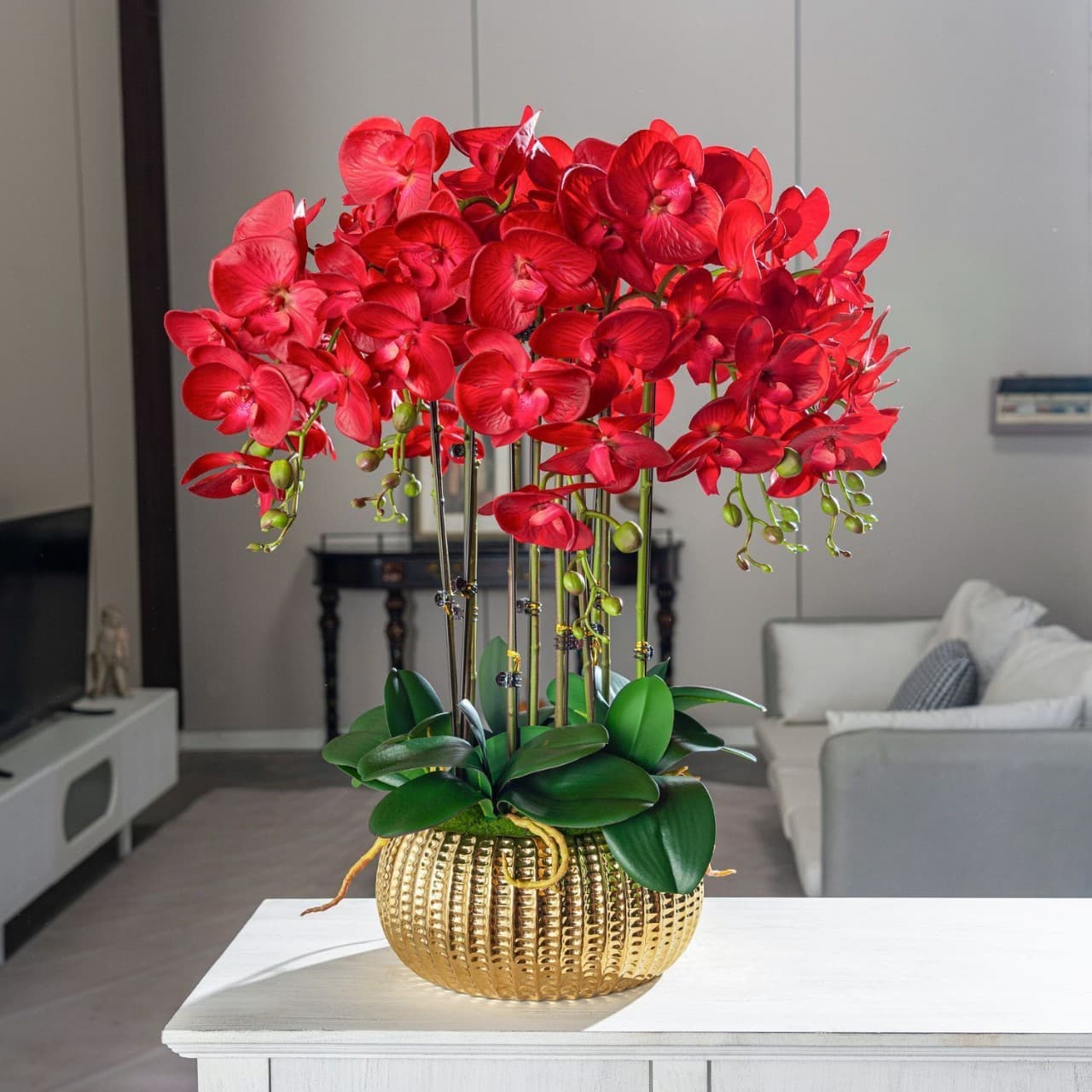 New popular Phalaenopsis orchid with flower stalks, Chinese red color, strong fragrance, long flowering period, suitable for living room and indoor tabletops.