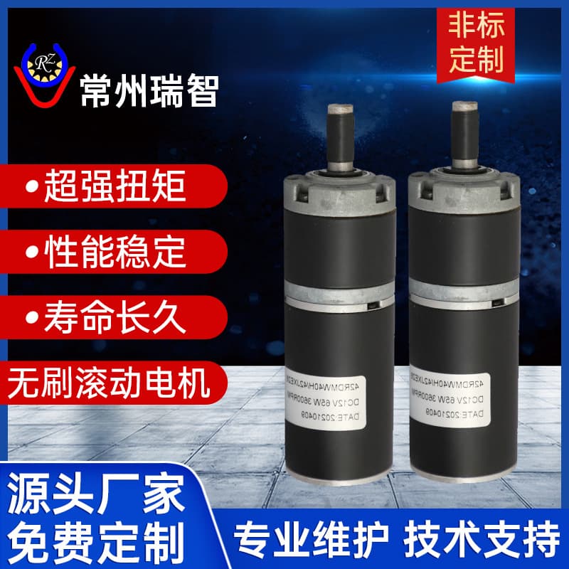 Supply Roller Brushless DC Geared Motor 24/48V Roller Reduction Brushless DC Motor