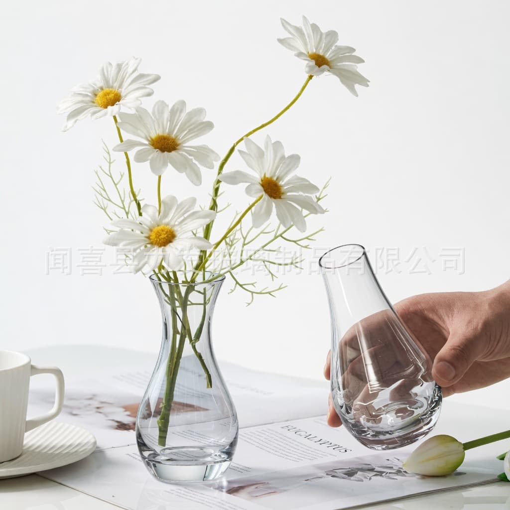 Set of Nordic ins style glass vase transparent hydroponic plants flowers living room decoration vase ornaments ins style