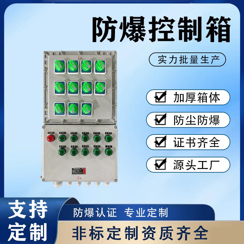 Stainless Steel Explosion-Proof Power Socket, Lighting and Power Control Box, Complete Set of Distribution Cabinet for Petrochemical Plants, Explosion-Proof Box