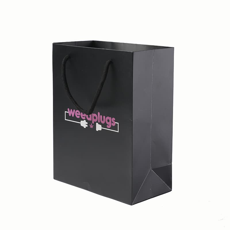 Printed Logo Black Ivory Board Perfume Bottle Gift Paper Bag with Handle