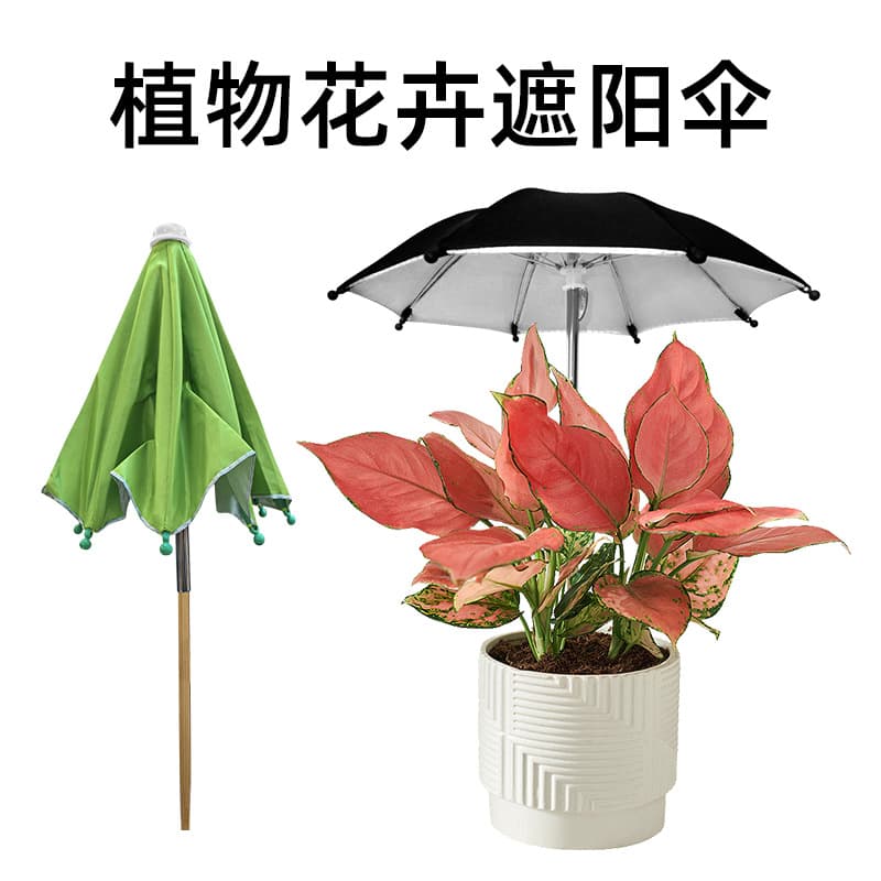 Plant flower sun protection umbrella succulent bonsai potted sunshade umbrella rainproof umbrella wooden handle ground umbrella mini umbrella dual use