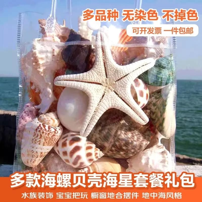 Conch Shell Combination Decorative Painting Materials Handmade Craft Supplies Cross-border DIY Accessories Source