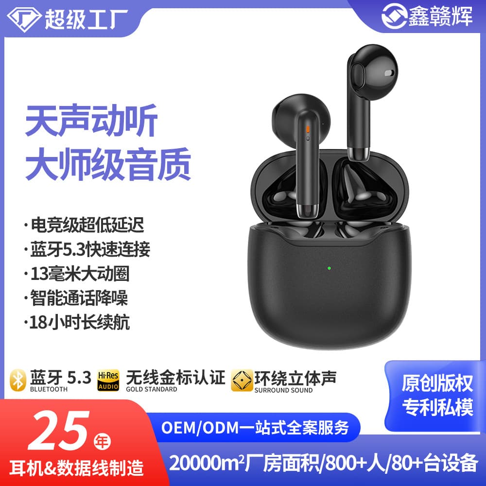 Amazon Waterproof Private Mold TWS Gaming Wireless Earbuds Stereo Phone Call Music Bluetooth 5.3