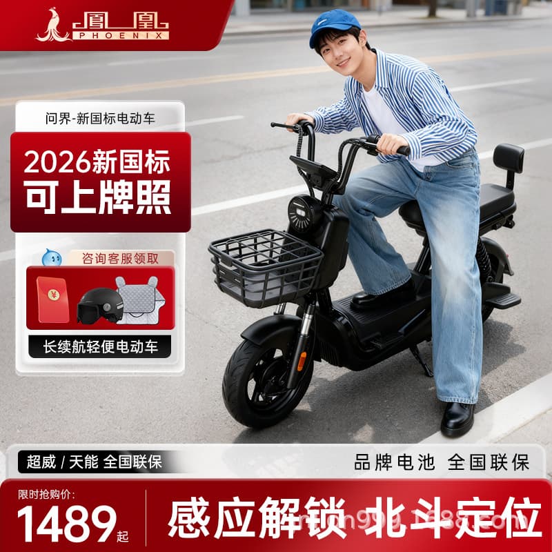 Latest National Standard Phoenix Electric Bike for Adult Women, Small Electric Bicycle, New National Standard Mobility Two-Wheel Self-Balancing Electric Bike
