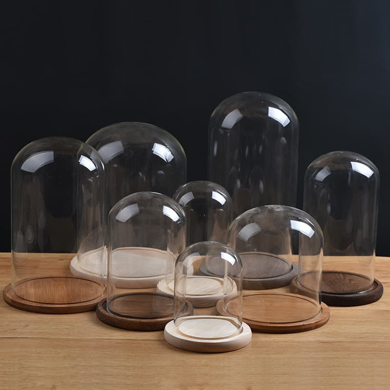 Aromatherapy Candle with Dustproof Glass Cover Eternal Flower 3D Glass Lampshade Couple Hand Model Display Cover Ornaments