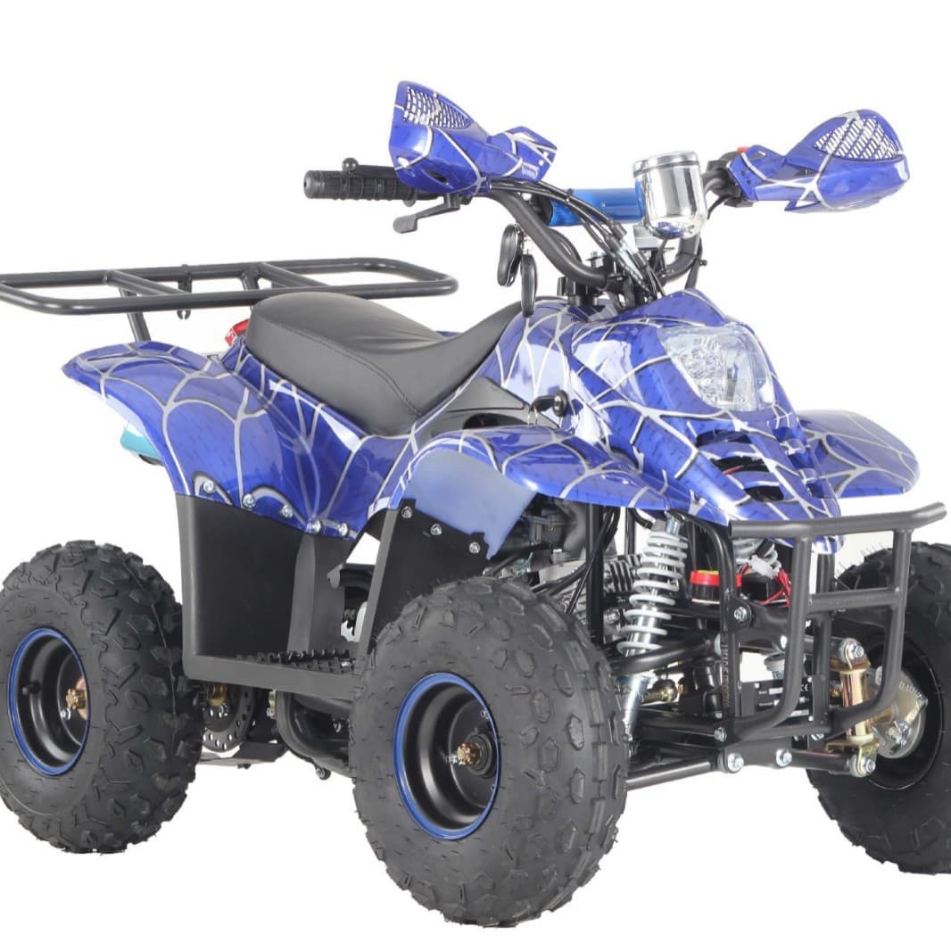 Factory Direct 110cc Dinosaur ATV Four-Wheel Motorcycle for Children and Teenagers