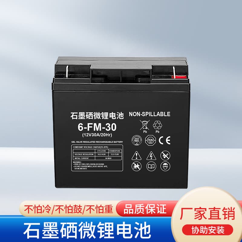 Premium Graphene Micro Lithium Battery 12V High-Capacity Battery