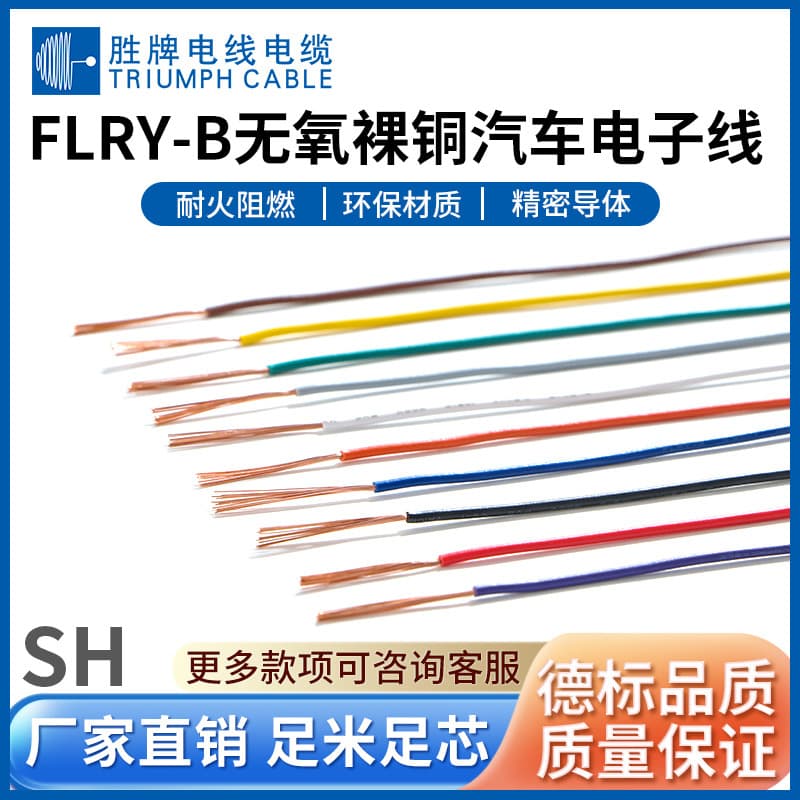 Valvoline German Standard FLRY-B Automotive Wire PVC Modified Wire Truck Low Voltage Wire Car Circuit Wire Side Light Wire