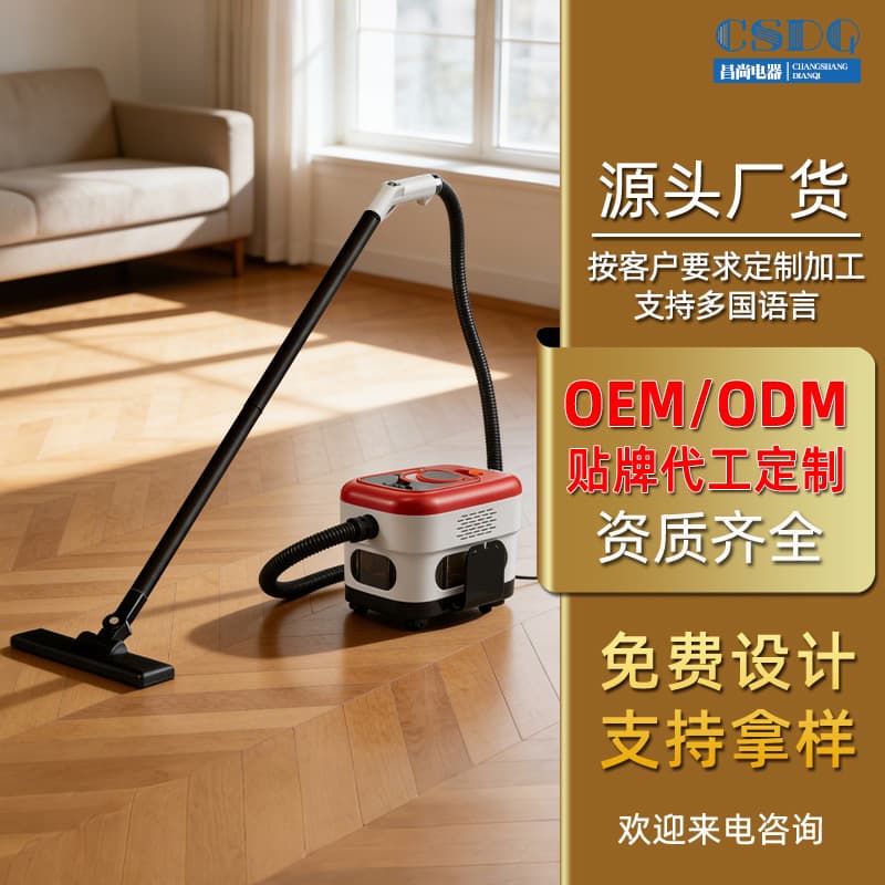 Custom Large Steam Cleaner Mop High Temperature High Pressure Large Water Tank Multi-Speed Adjustment Kitchen Cleaning Machine Cross-Border