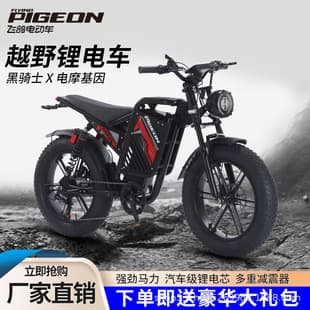 Snowmobile Wide Tire Electric Bicycle Dual Motor EBiK Electric Assist Bike Dual Shock Dual Drive Motor Electric Vehicle