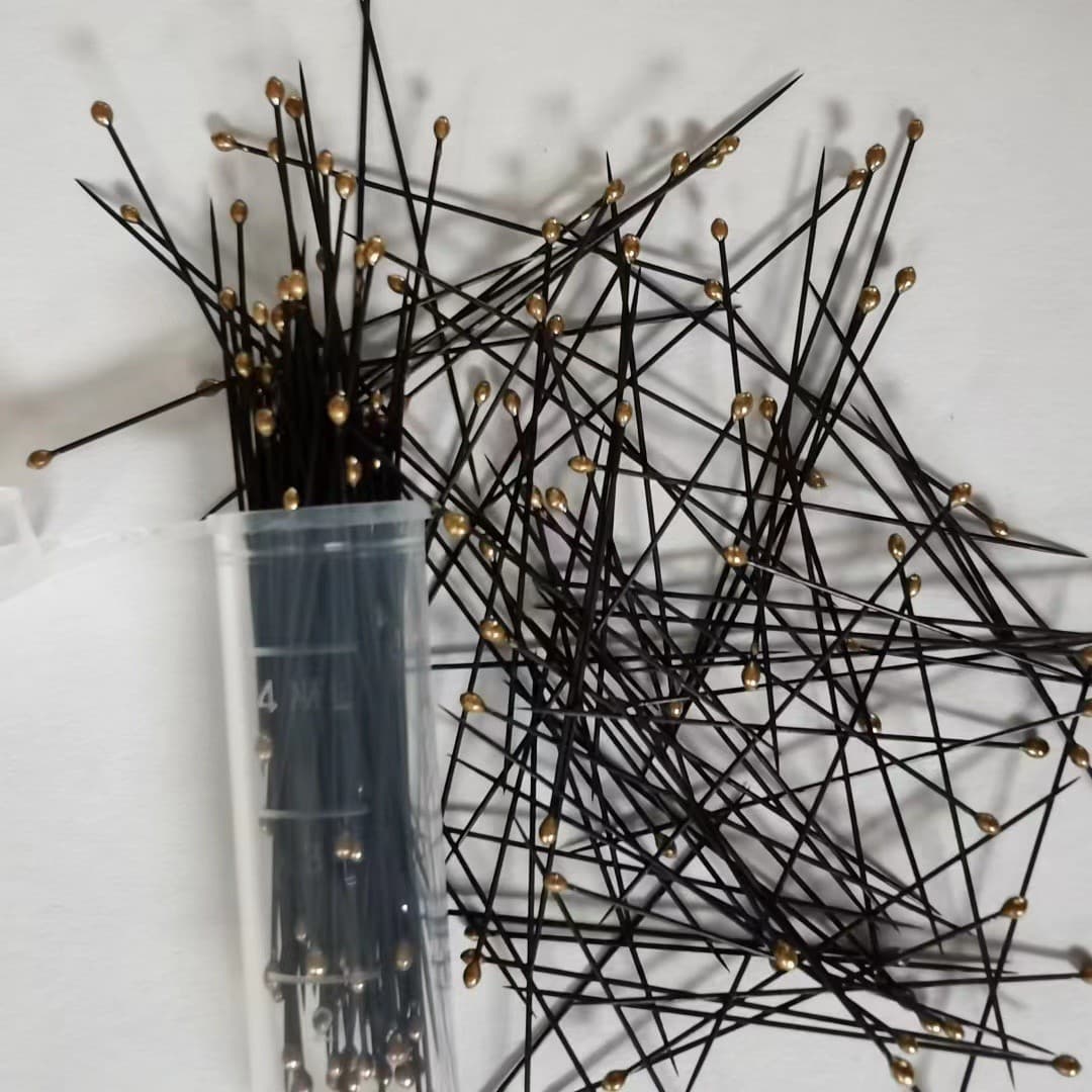 Black Insect Pins Black Specimen Pins Fabric Positioning Good Damping Effect Specimen Photography No Glare No Slip