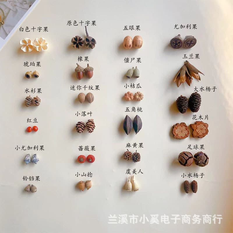 Natural Fruit Specimen Photo Frame Christmas Wreath Handmade Dried Flowers and Fruits Kindergarten Decoration Mix and Match DIY Material Kit