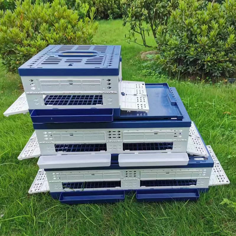 Folding Pigeon Release Cage, Large Training and Release Cage, Pigeon Cage, Bird Transport Tool, Bird Pet Cage, Parrot Cockatiel