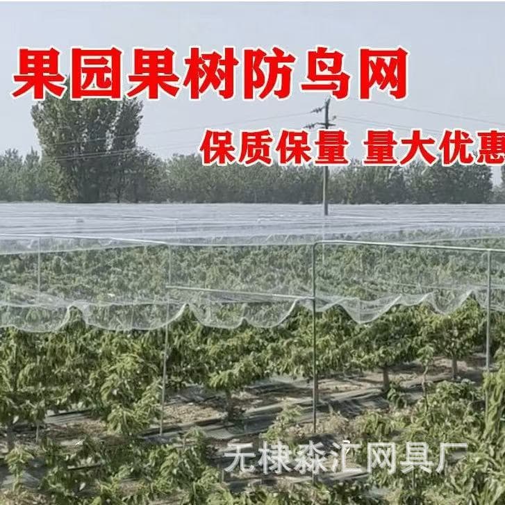 Nylon Orchard Bird Netting for Grapes, Cherries, Jabuticaba, Loquat, Fish Pond Protection, Anti-Bird Net, Orchard Protective Net