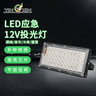 LED Emergency 12V Floodlight Outdoor Waterproof Lighting Night Market Stall Cold Storage Ship Camping LED Floodlight