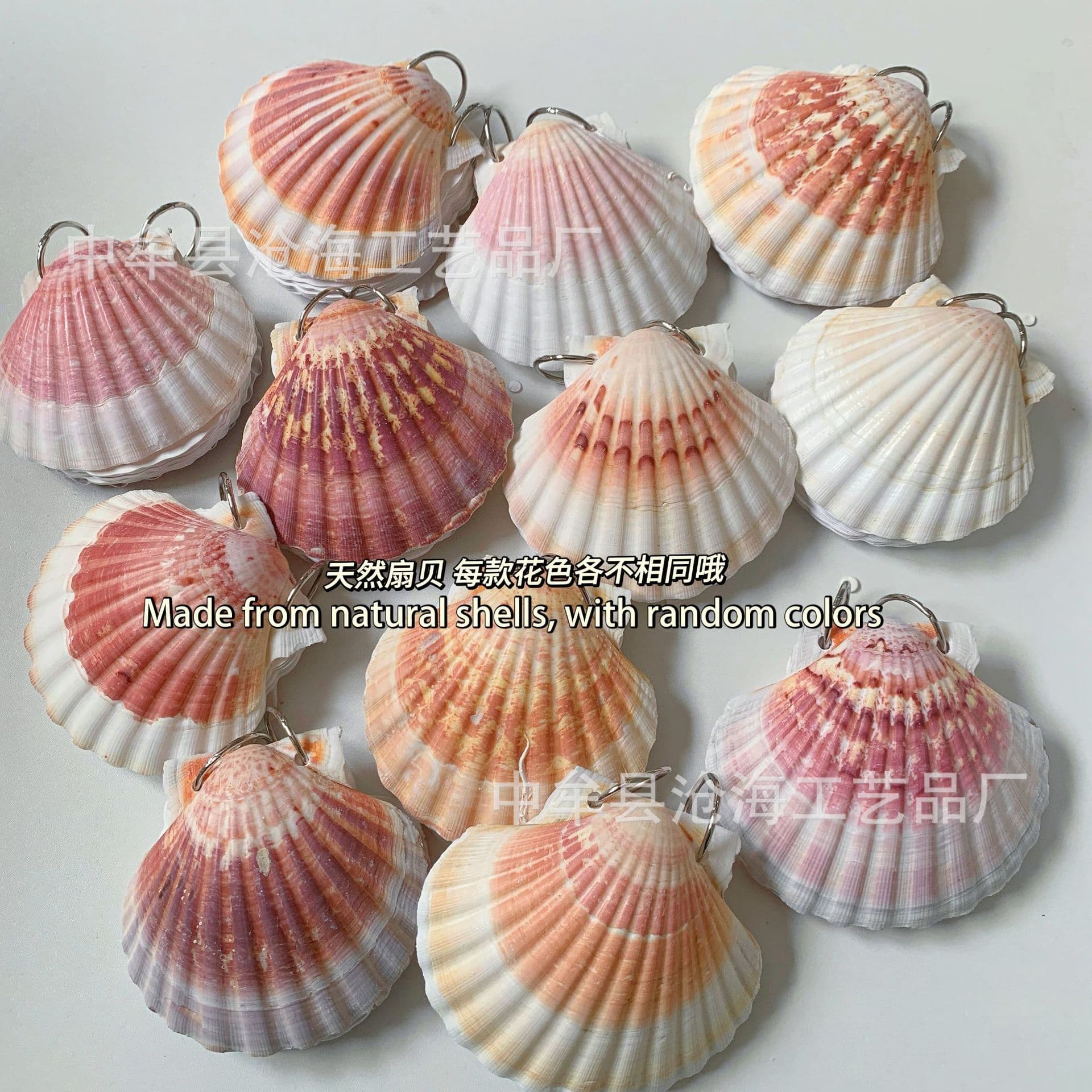 Ins-style natural shell loose-leaf notebook  Handmade retro