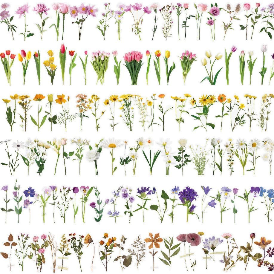 Waterproof Transparent Pet Flower Stickers Bullet Journal Diy Tulip Material Handbook Decals Office Culture Stationery Stickers