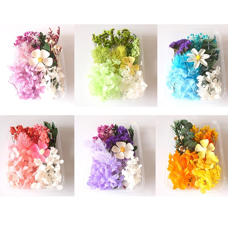 Dried Flower Everlasting Scented Candle DIY Floral Materials for Kids Dried Flower Photo Frame Round Fan Craft Kit for Event Activities
