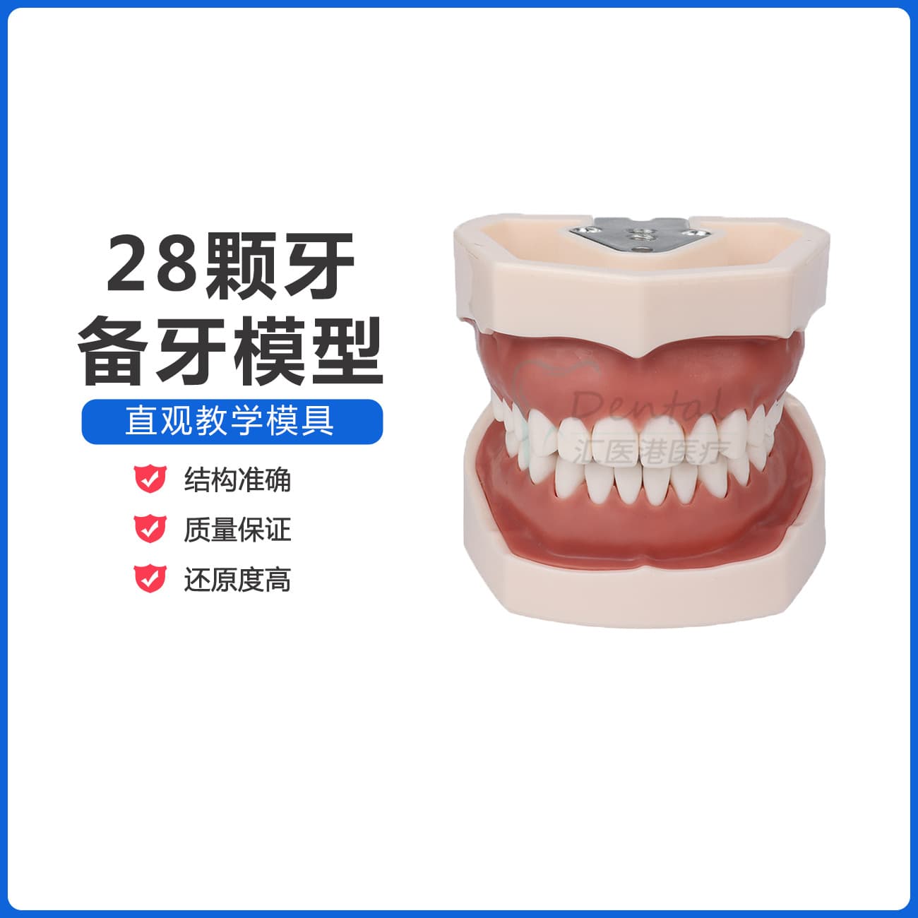 Dentistry Oral Simulation Practice Dental Preparation Model 28 Teeth Replaceable Disassembly Model Soft Gingival Reciprocating Cavity