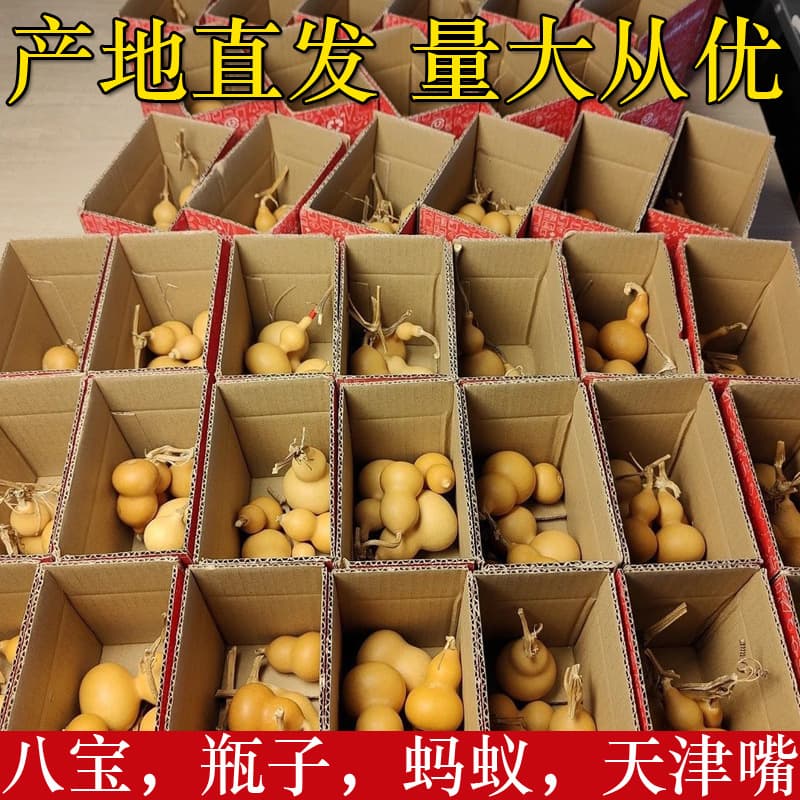 Eight Treasure Gourd Ornament, Ant-Shaped Gourd Fidget Toy Wholesale, Hand-Rolled Premium Gourd with Stem