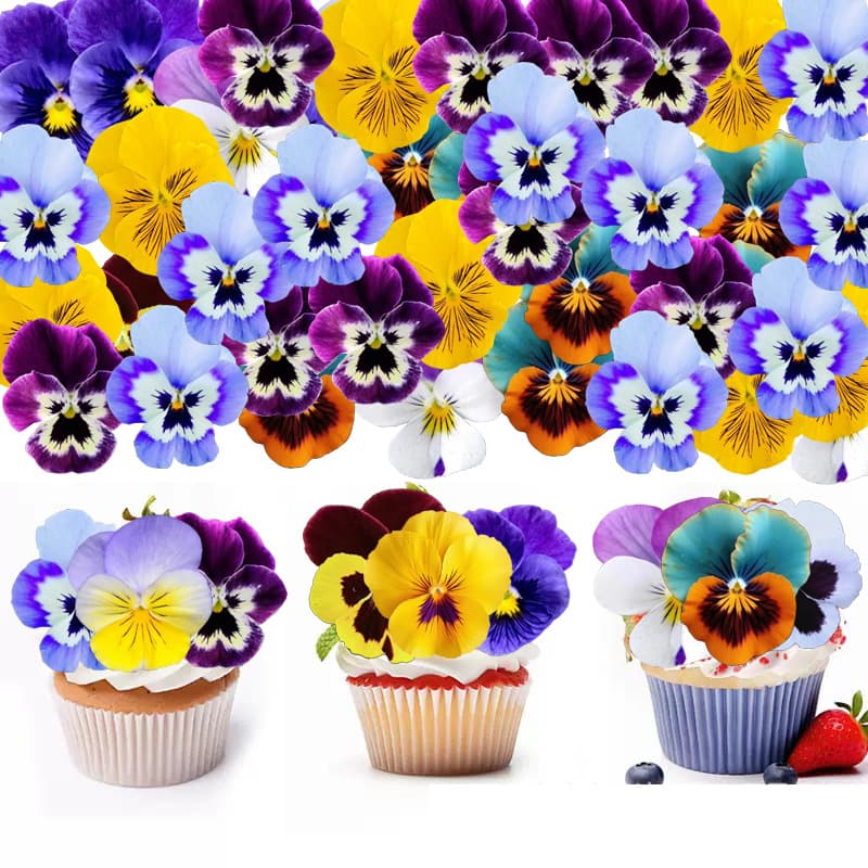 Cross-border Hot Selling Wafer Paper Pansy Flowers Birthday Cake Baking Paper Dessert Decoration