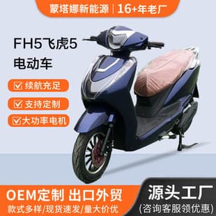 FH5 Feihu 5 Electric Motorcycle 48/60V Electric Two-Wheel Motorcycle High Power Long Range Electric Two-Wheeler