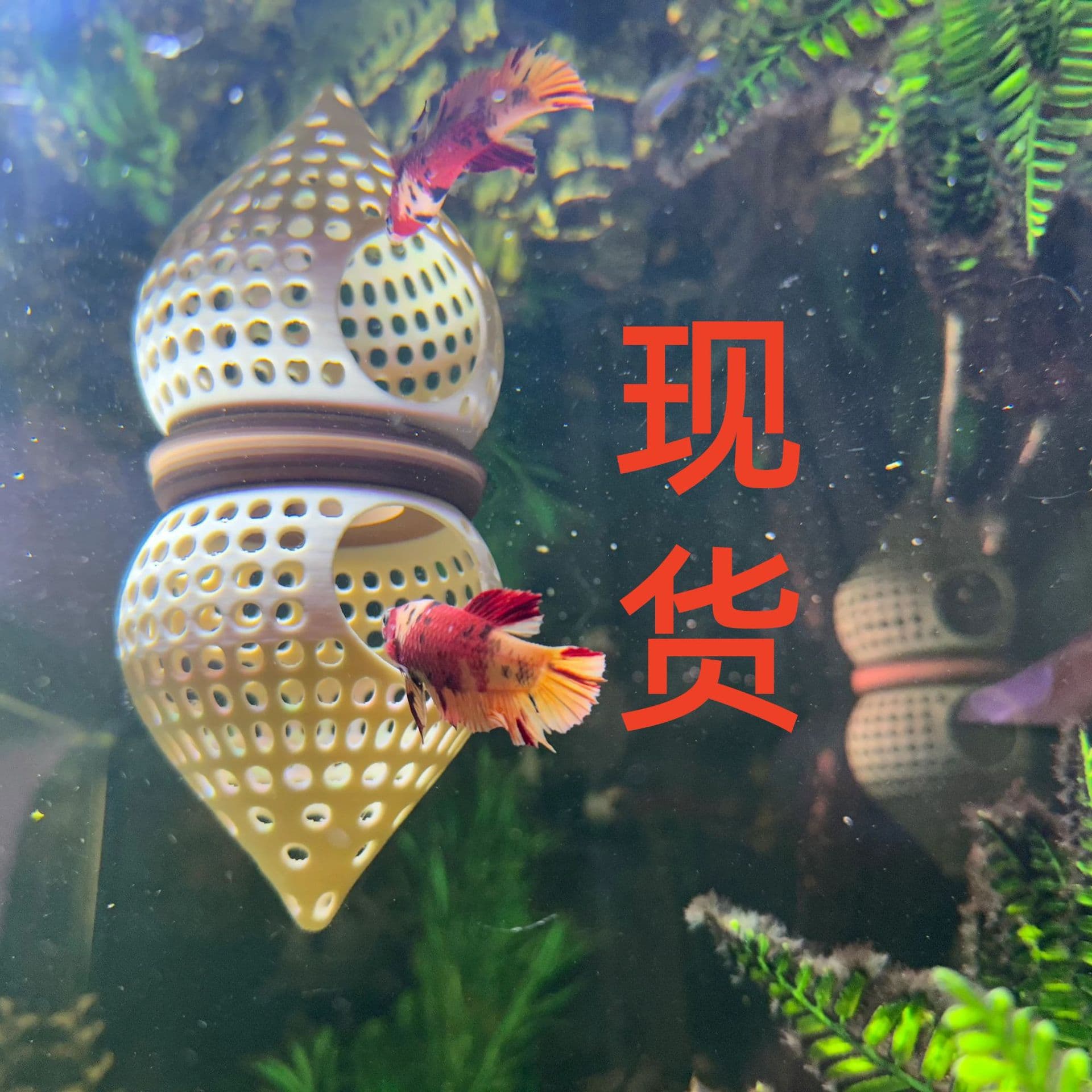 Floating Cone Fish Rest Lounge Betta Shelter Aquarium Fish Tank Decoration Accessory Fish Rest Area