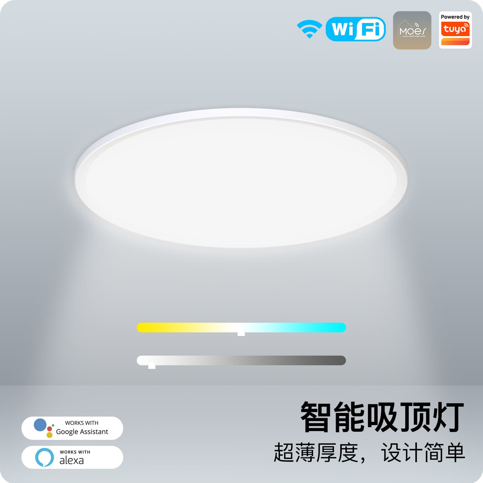 Smart Home RGBCW WiFi Voice Control Remote Timed Ultra-Thin LED Ceiling Light 25W Doodle Intelligent Lighting App Control