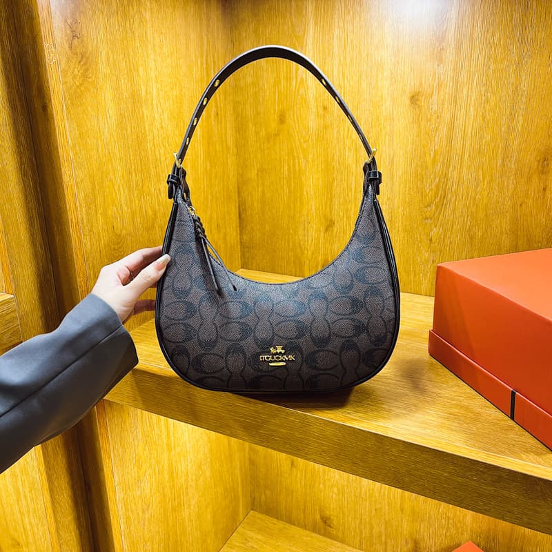 High-end women's bags 2025 new trendy fashion retro crossbody bag armpit bag internet celebrity croissant bag shoulder bag trendy