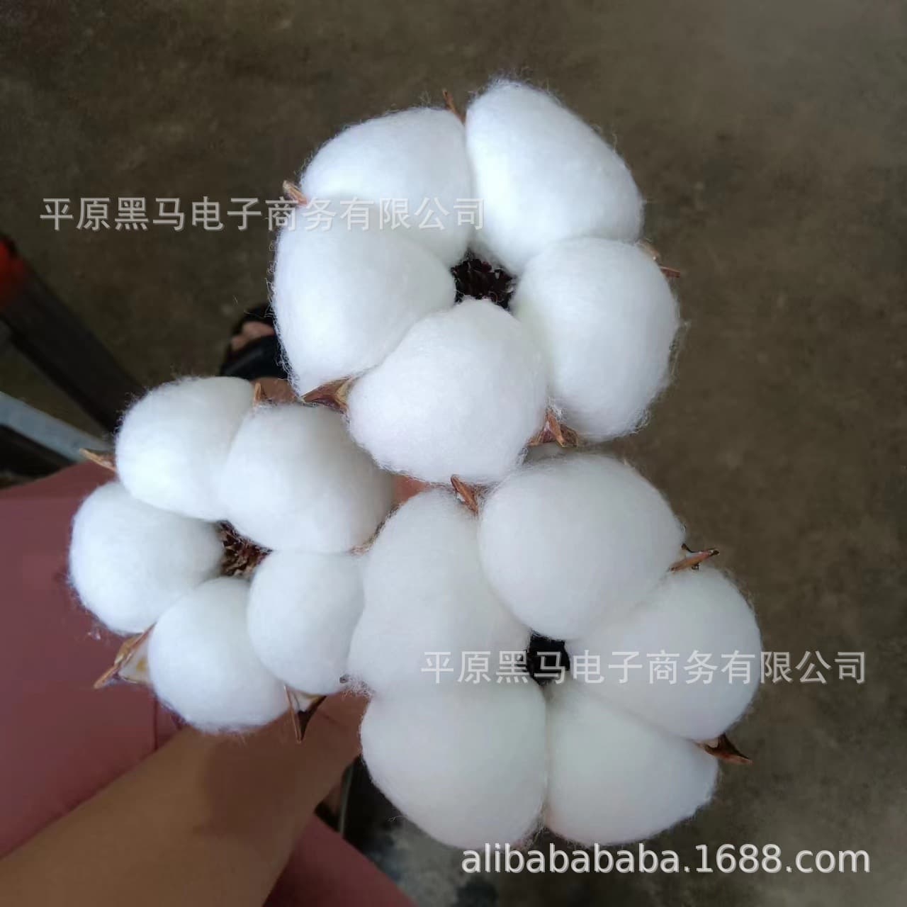 Natural cotton dried flower bouquets, artificial flower bouquets, cotton head handmade pressed flower material kits, preserved flowers, wedding wholesale.