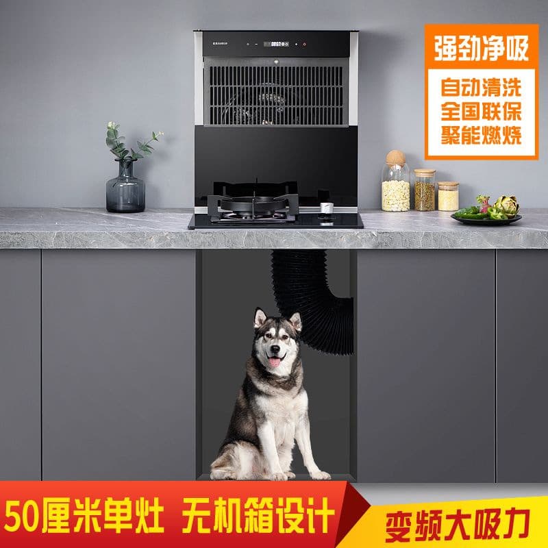 50CM Home Single Burner, Chassis-Free Split Variable Frequency Integrated Stove, Under-Exhaust Range Hood and Gas Stove Set for RVs