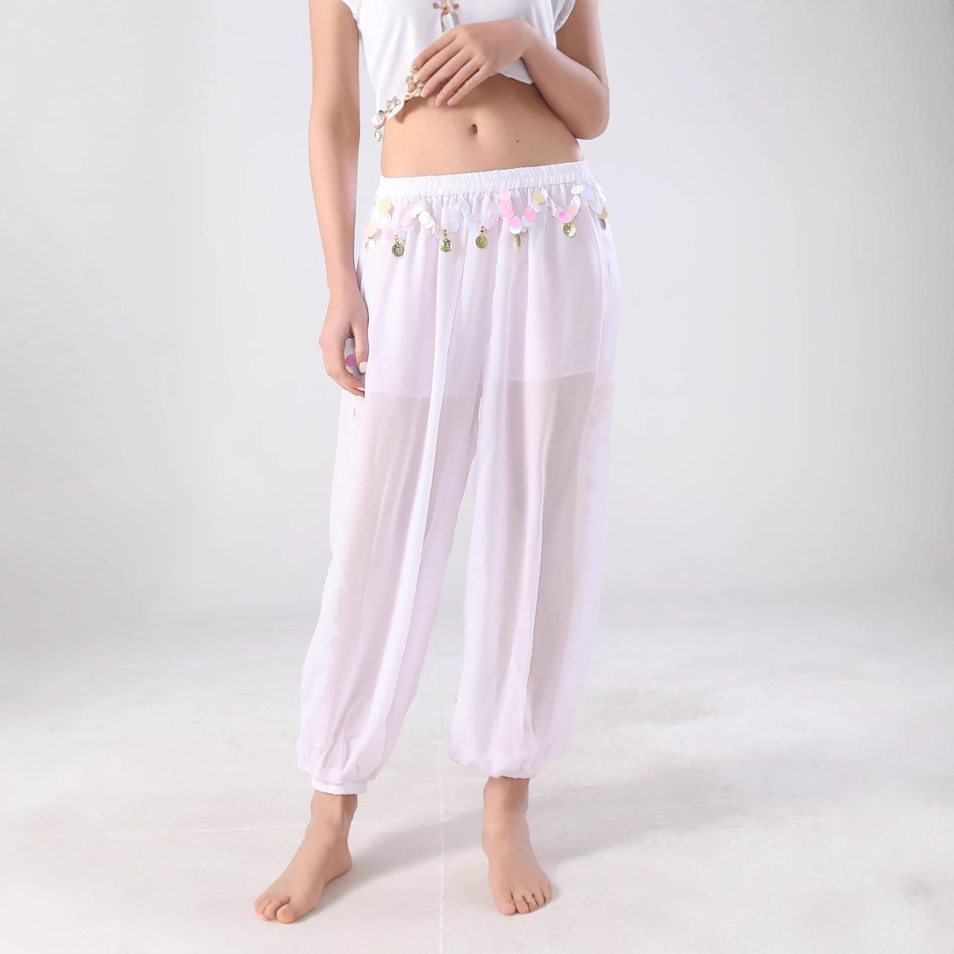 Belly Dance Pants Sequins Performance Costume Indian Dance Stage Harem Pants Dance Practice Pants Sequins Wide Leg Pants
