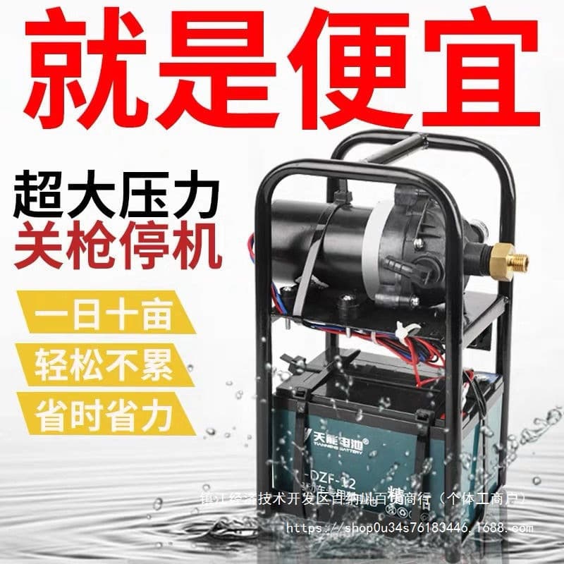 Agricultural High-Pressure Spraying Machine Small Portable Electric Sprayer New Dual-Pump Charging Spraying Intelligent Sprayer
