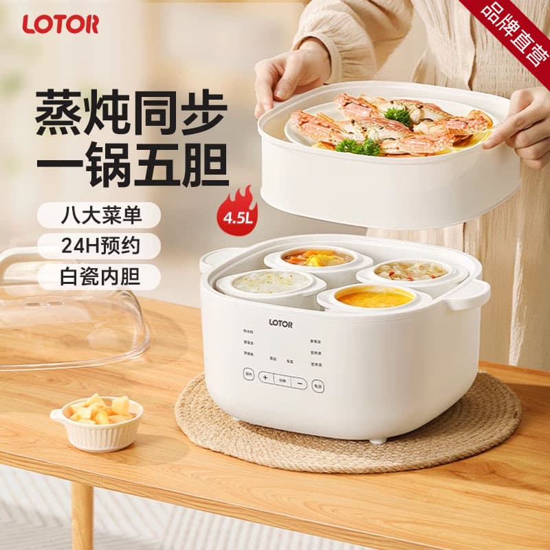 Lotor 4.5L Fully Automatic Ceramic Electric Stew Pot with Double Boiler, 2025 New Model for Home Soup Making