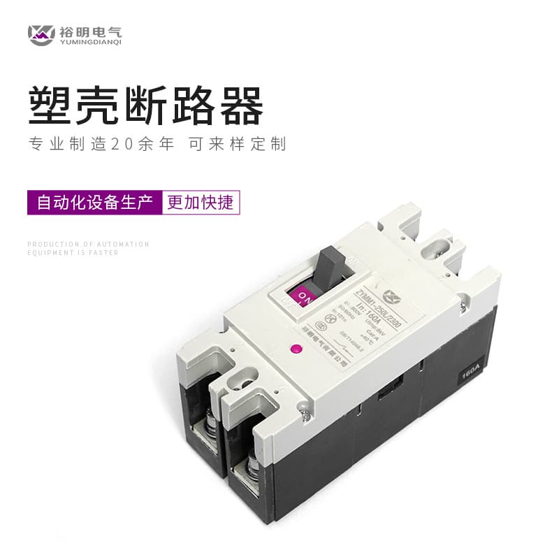 M1 Series Molded Case Circuit Breaker, Air Switch M1-250-2P, Factory Supply, Stable Quality