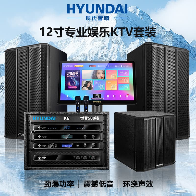 HYUNDAI K5 Set KTV Home Entertainment Conference Performance Wooden Speaker Wireless Bluetooth Home