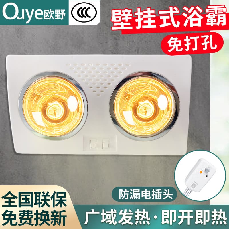 Two-Bulb Bathroom Heater with Leakage Protection, Integrated Light Heating, and Wall-Mounted Installation