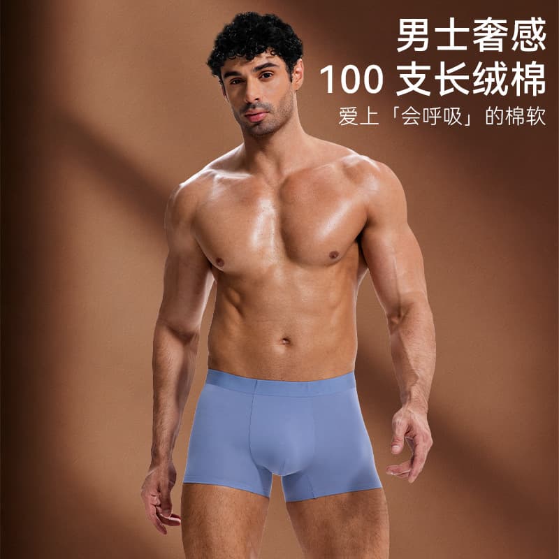 100% Long-Staple Cotton 10A Antibacterial Men's Boxer Briefs, Soft and Comfortable Underwear