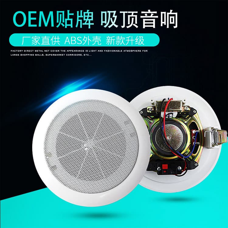 Manufacturer Wholesale Constant Voltage Ceiling Speaker, Embedded Ceiling-mounted Audio, Mall and Shop Background Music Speaker