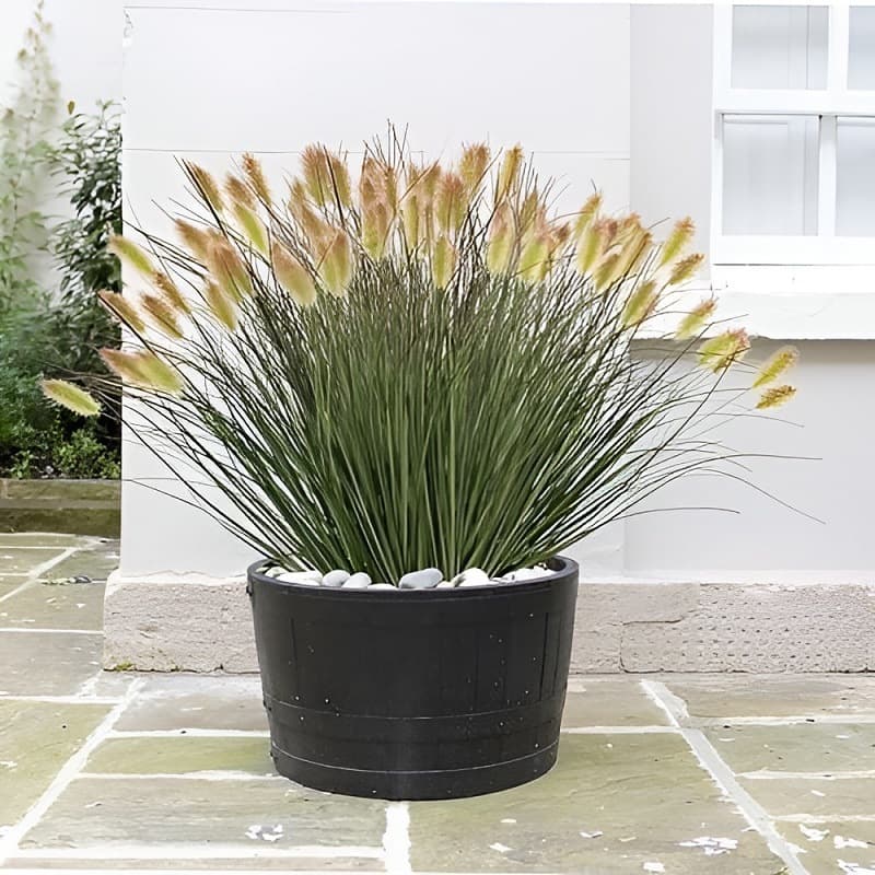 Wholesale Restaurant Landscaping Flame-Retardant Fireproof Soft PVC Foxtail Grass Outdoor Landscaping PET UV-Resistant Foxtail Grass
