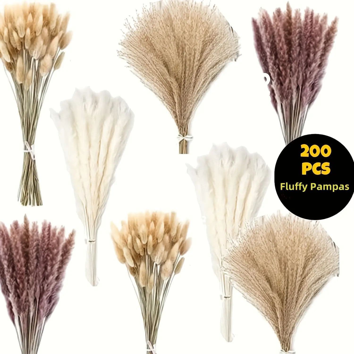 INS Nordic Style Natural Color Pampas Grass Small Reed Pampas Grass Dried Flowers Wholesale Real Flower Decoration Photography Prop Dried Flower Bouquet