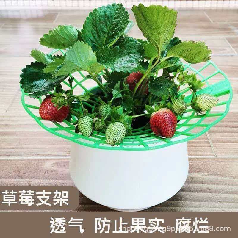 Home Potted Strawberry Planting and Cultivation Support Bracket, Balcony Rot and Collapse Prevention Support Frame, Gardening Tray Tool