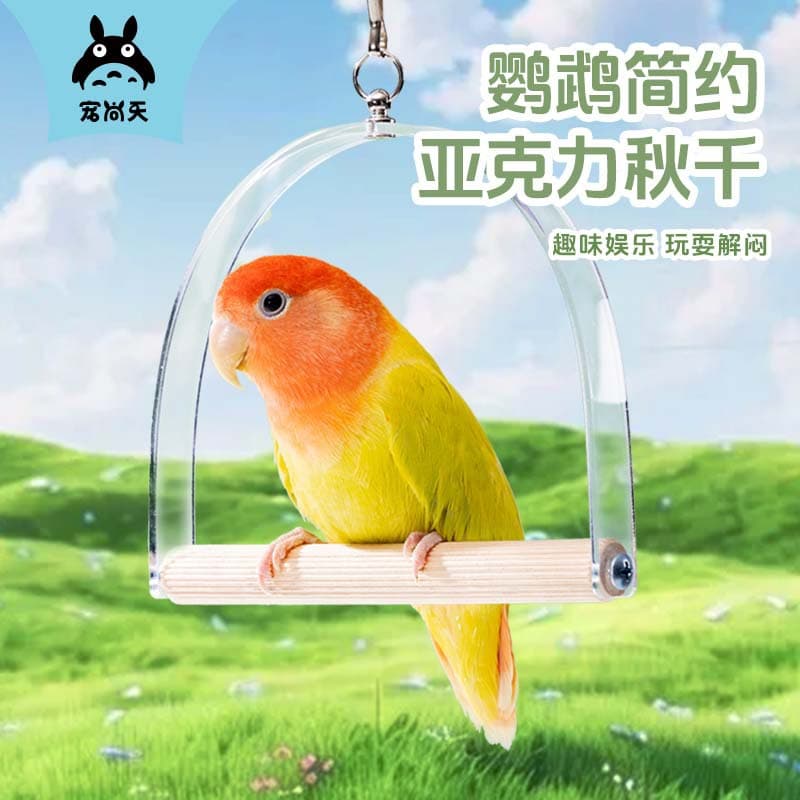 Chongshangtian Parrot Toy Bird Supplies Acrylic Swing Perch for Budgie Cockatiel Lovebird Chewing Cage Accessories