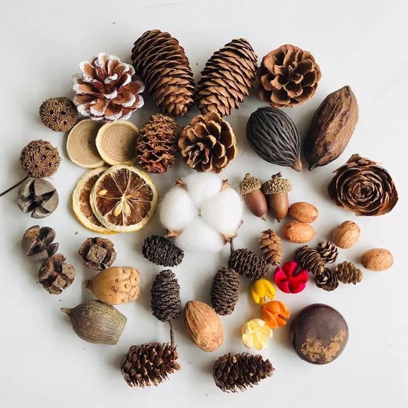 Wholesale Dried Pinecone Dried Flowers Christmas Decoration Handmade DIY Material Kit Photography Props Accessories Natural Christmas Pinecones