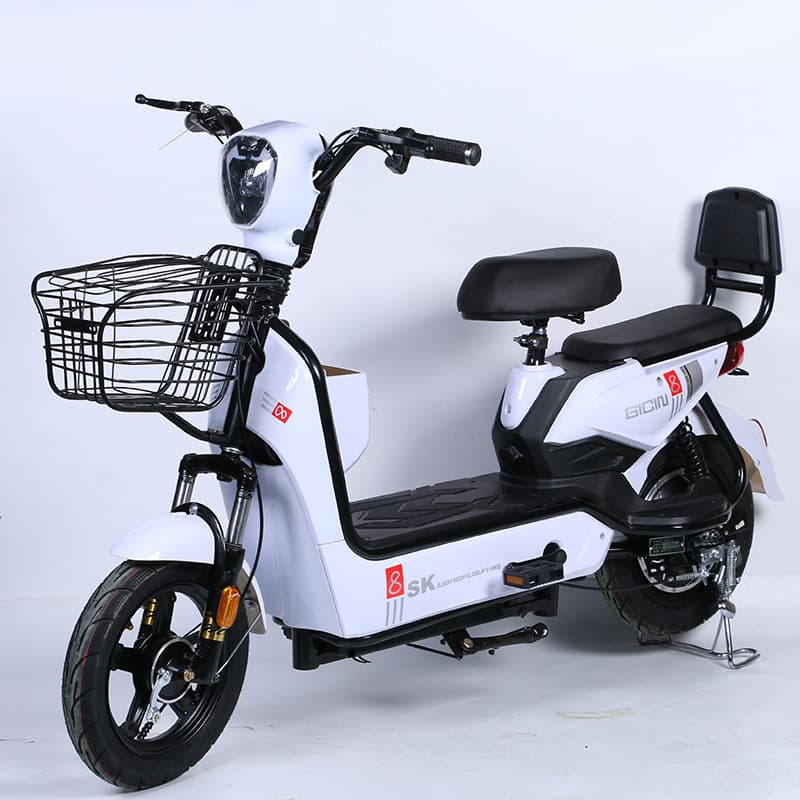 Cross-border E-commerce Golden Eagle Electric Commuter Bicycle Two-Person 48v Electric Bike Factory Direct Supply