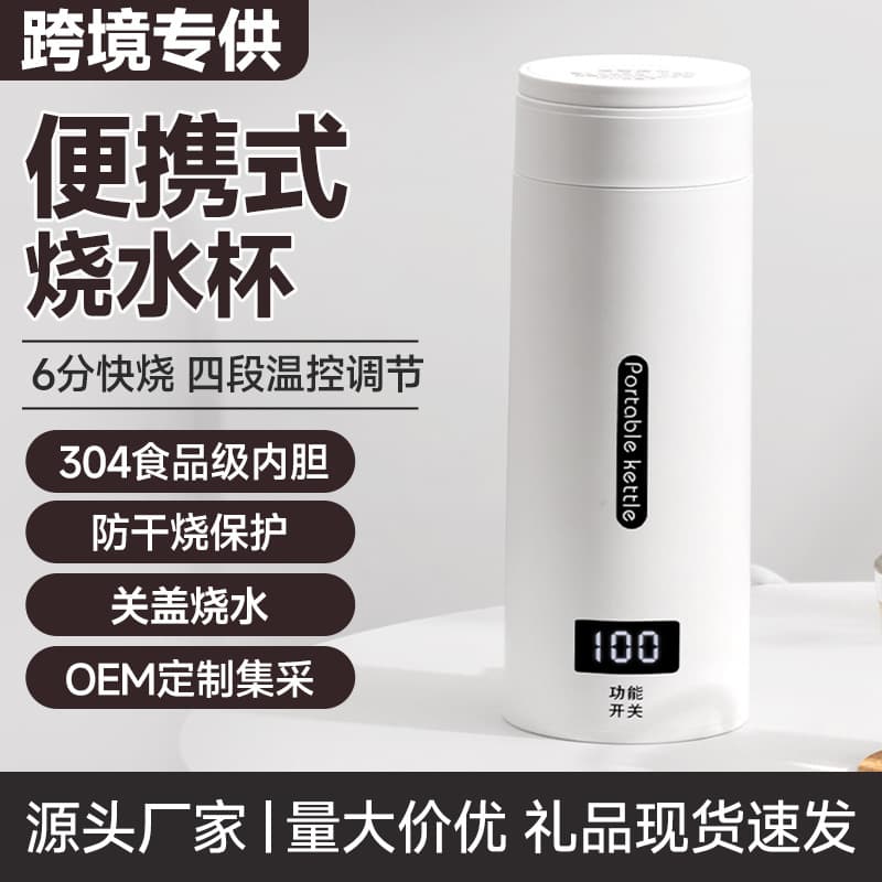 Portable Electric Heating Cup Small Household Electric Kettle Dormitory Heating Water Boiler for Cross-Border Export
